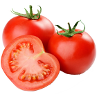 Pests and Diseases of Tomato biểu tượng