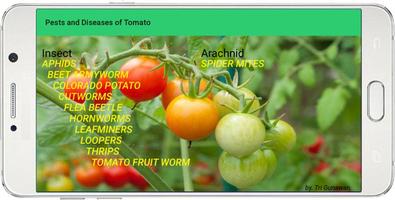 Pests and Diseases of Tomato syot layar 3