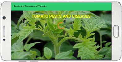 Pests and Diseases of Tomato पोस्टर