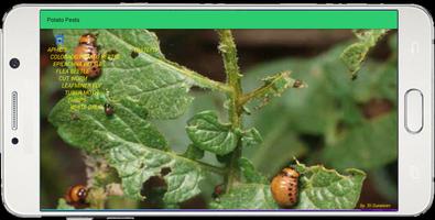 Potato Pests and Diseases capture d'écran 1