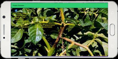 Potato Pests and Diseases capture d'écran 2