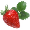PESTS AND DISEASES OF STRAWBERRY