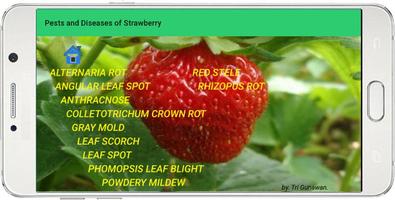 PESTS AND DISEASES OF STRAWBERRY capture d'écran 3