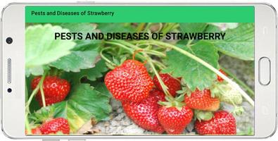 PESTS AND DISEASES OF STRAWBERRY Affiche