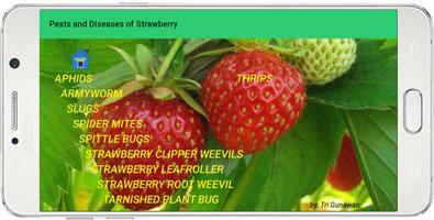 PESTS AND DISEASES OF STRAWBERRY capture d'écran 2
