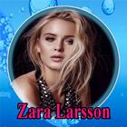 Zara Larsson Songs 2023 icône