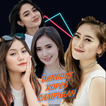DJ DANGDUT CAMPURAN OFFLINE icon