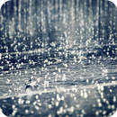 🌧️ Beautiful Rain Wallpaper 🌧️ APK