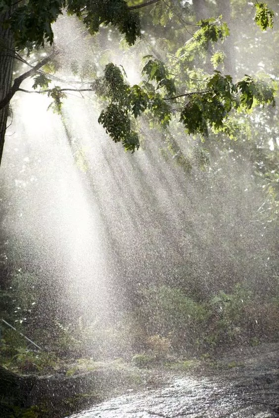 Tải xuống APK 🌧️ Beautiful Rain Wallpaper 🌧️ cho Android Tải xuống APK 🌧️ Beautiful Rain Wallpaper 🌧️ cho Android