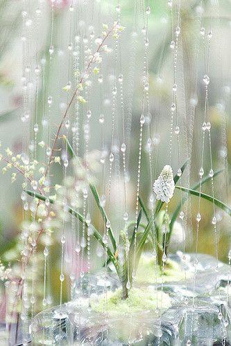 🌧️ Beautiful Rain Wallpaper 🌧️ APK for Android Download 🌧️ Beautiful Rain Wallpaper 🌧️ APK for Android Download