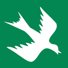 Rain Bird icono