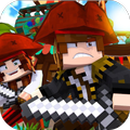 Pirates The Ships Craft
