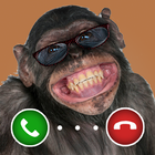 Monkey Prank Video Call icône