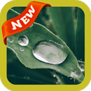 Raindrop Wallpaper APK