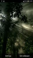 Rain Forest Live Wallpaper capture d'écran 3