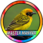 Kicau Burung Manyar icon