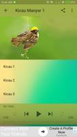 Kicau Burung Manyar screenshot 2