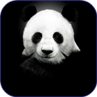 Panda Wallpapers-icoon