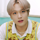 NCT Haechan Wallpaper HD 4K APK