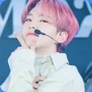 Hoshi Seventeen HD Wallpapers APK