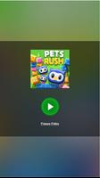 Pets Rush poster