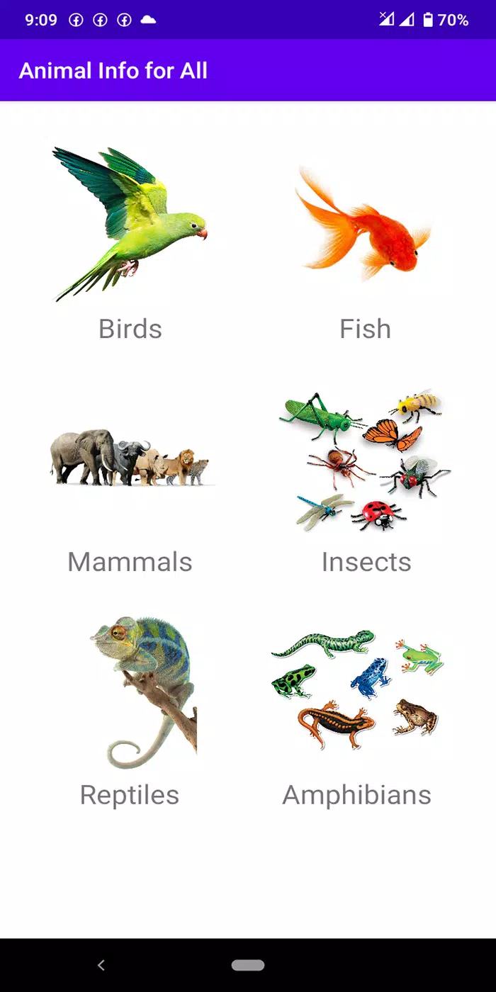 Animal App - Learn Animal Names, Photos & Sounds APK pour Android  Télécharger