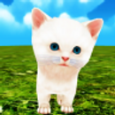 Kittie Kittie APK