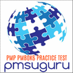 FREE PMP PMBOK6 PRACTICE TEST 