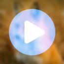 Rajkummar Rao All Video Songs APK