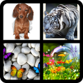 4 Bilder 1 Wort