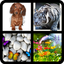 4 Bilder 1 Wort APK