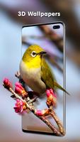 Transparent Live Wallpaper ảnh chụp màn hình 3