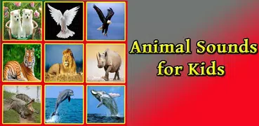 Animal Sounds Effects
