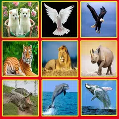 Animal Sounds Effects APK download