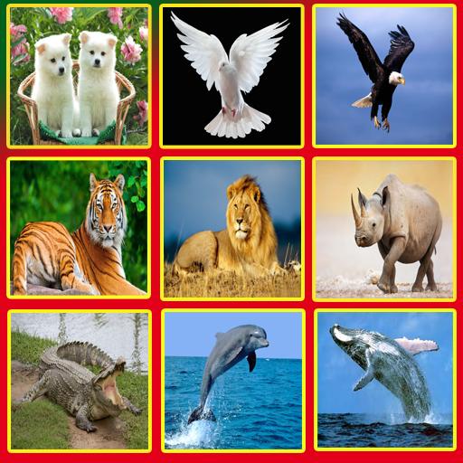 Animal Sounds Effects APK  for Android – Download Animal Sounds Effects  APK Latest Version from 