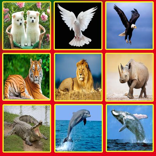 Animal Sounds Effects APK for Android – Download Animal Sounds Effects APK Latest Version from Animal Sounds Effects APK for Android – Download Animal Sounds Effects APK Latest Version from