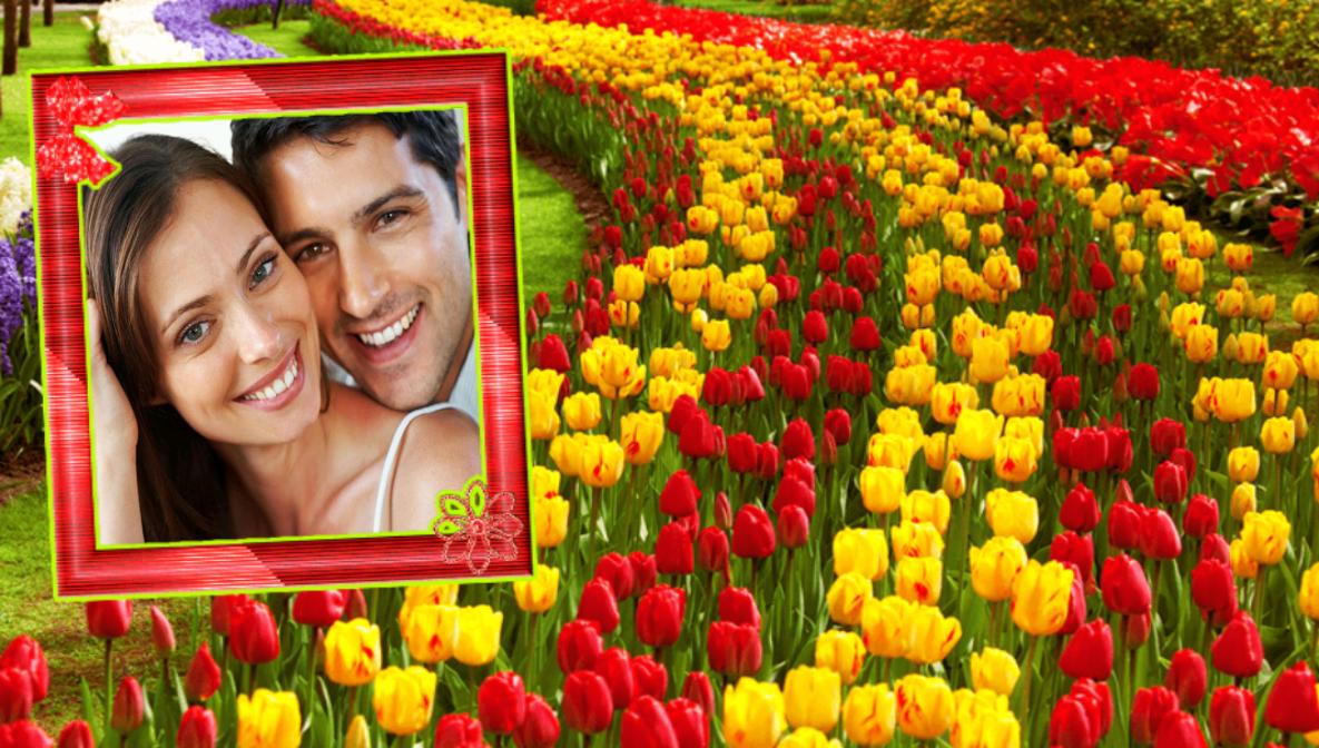 Скачать садовые фоторамки APK для Android
