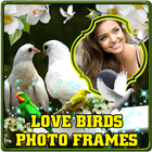 Love Birds Photo Frames icône