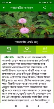 Screenshot 12 for ঔষধি গাছের উপকারিতা- Hurbal