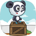 Panda Stack Rush