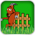 Ram Circle Runner