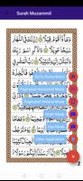 surah muzamil with offline mp3 Ekran Görüntüsü 3