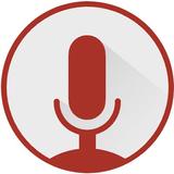 Voicer - Voice Recorder icône