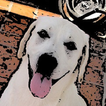 Dogs Game Zeichen