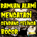 Cara Alami Mengatasi Gendang Telinga Bocor APK