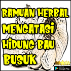 Ramuan Herbal Mengatasi Hidung Bau Busuk icon