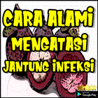 Cara Alami Mengatasi Jantung Infeksi icon
