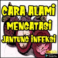 Cara Alami Mengatasi Jantung Infeksi screenshot 2