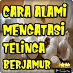 Cara Alami Mengatasi Telinga Berjamur