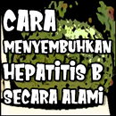 Cara Menyembuhkan Hepatitis B Secara Alami APK